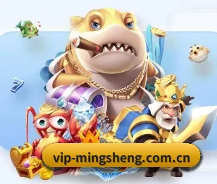 明升体育围绕看球场景设计的核心服务 - 多运动项目内容板块